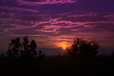 Silhouette of trees at sunset