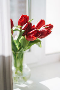Beautiful bouquet of red tulips in vase om window sill at home, natural background