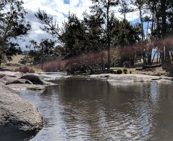 Scenic view of river in forest against sky