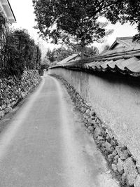 Empty road along trees and plants