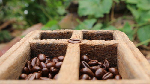 Close-up of coffee beans