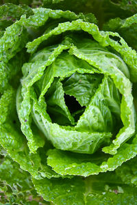 Full frame shot of vegetables