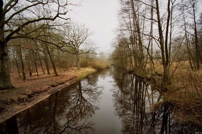 Reflection of trees in lake against sky