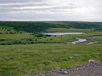 Scenic view of field against sky