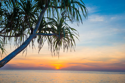 Beautiful landscape with sunset at tropical beach with palm trees