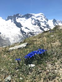 Scenic view of snow field against blue sky