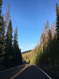 Colorado rockies