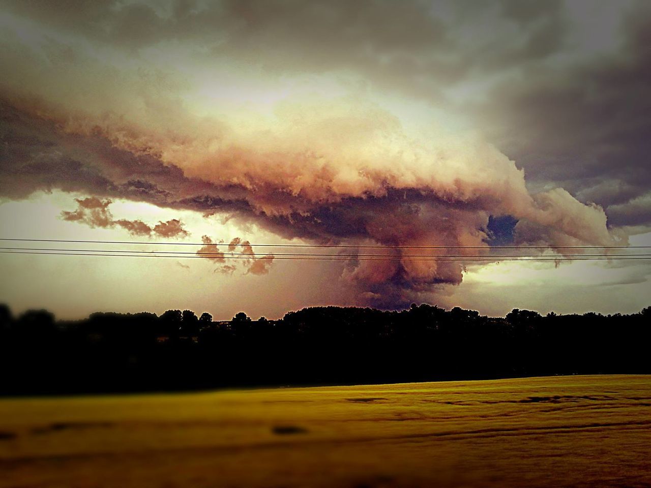 Cumulus congestus