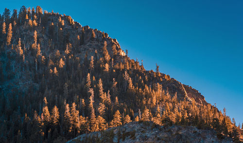 Low angle view of rock formation against clear blue sky