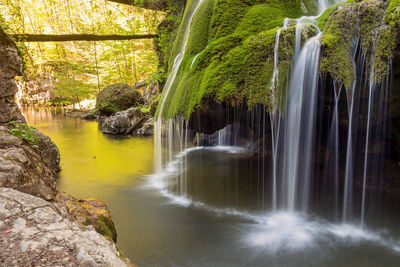 Scenic view of waterfall in forest