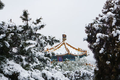 Snow covered plants by building against clear sky