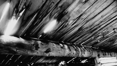 Low angle view of wood