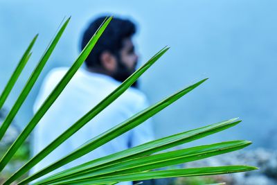 Portrait of young plant