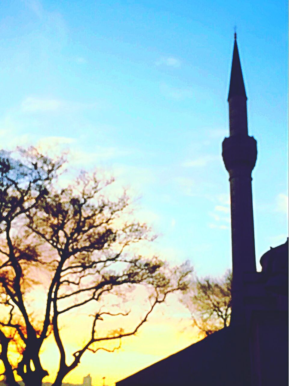 low angle view, architecture, building exterior, built structure, tree, silhouette, sky, church, bare tree, branch, sunset, tower, religion, blue, place of worship, spirituality, high section, no people, outdoors