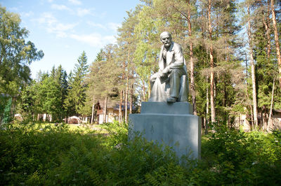 Statue in park against sky