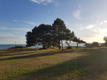 Trees on field against sky