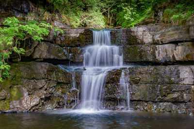 Scenic view of waterfall in forest