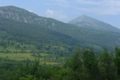 Scenic view of landscape against sky