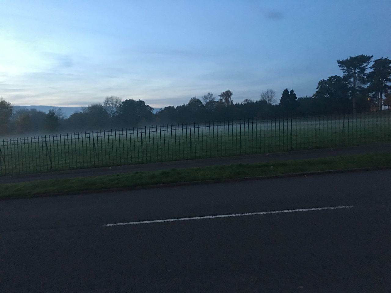 TREES AND SKY IN PARK