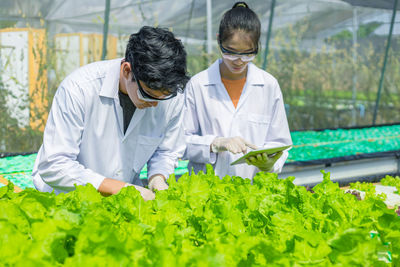 Botanists holding digital tablet working in greenhouse