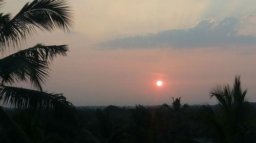 Palm trees against sky during sunset