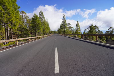 Surface level of road amidst trees against sky