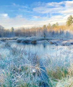 Scenic view of lake against sky