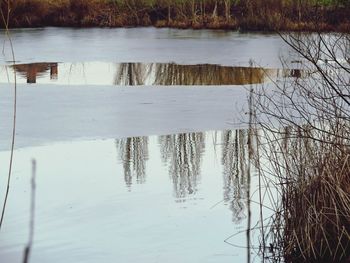 Reflection of trees in lake