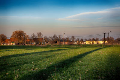 Scenic view of field against sky during sunset