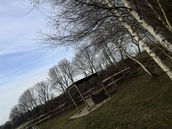 Low angle view of bare trees against sky