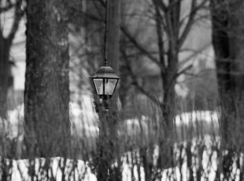 Illuminated street light in winter