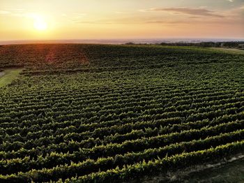 Scenic view of field against sky during sunset