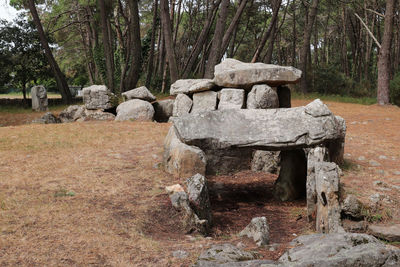 Stone wall on field