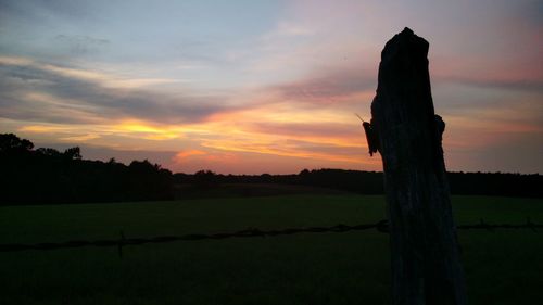 Scenic view of landscape at sunset