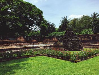 Plants and trees in a temple