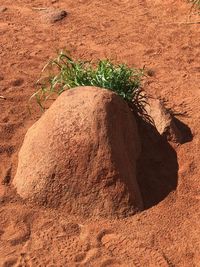 High angle view of sunlight falling on rock