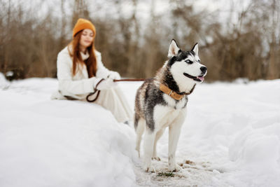 Side view of dog standing on snow covered field