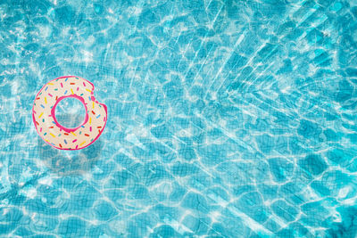 High angle view of bread floating on swimming pool