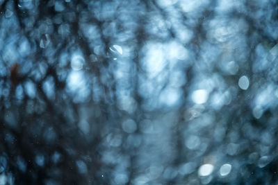 Defocused image of water drops on tree