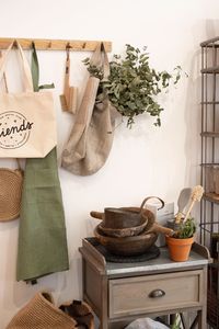 Potted plants on table at home