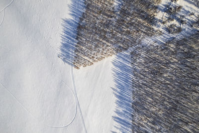 Close-up of snow