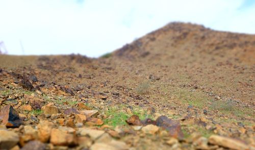 Surface level of land against clear sky