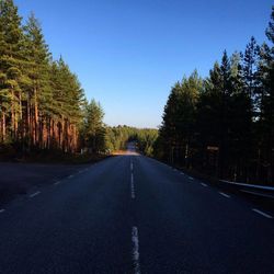 Empty road along trees