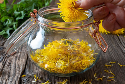 Midsection of person holding yellow flowering plant