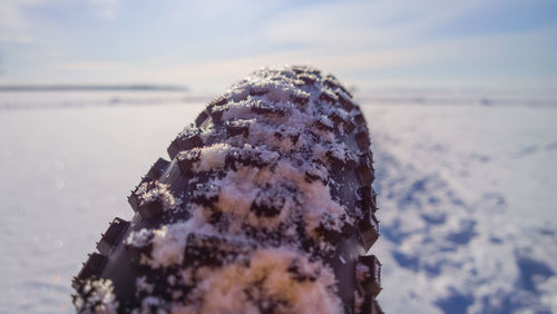 Close-up of frozen ice against sky