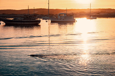 Sailboats moored in marina at sunset