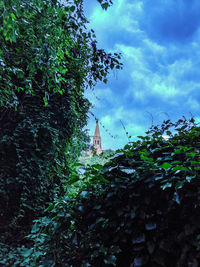 Low angle view of trees and building against sky