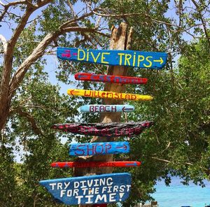 Information sign against trees