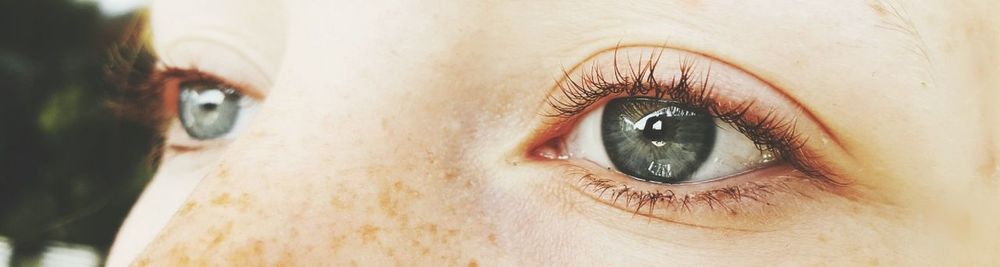 Close-up of woman eye