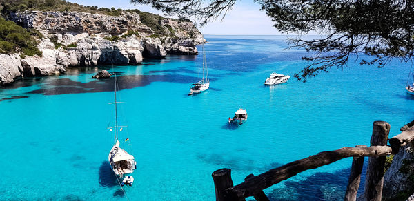 High angle view of sailboats in sea